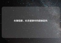 心皱指数，心灵褶皱中的隐秘密码