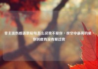 非主流伤感语录短句,怎么说我不爱你丶夜空中最亮的星丶你到底有没有爱过我