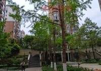 遵义同城网购新选择：爱特购最快4小时送达！