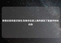 我想出家但是女朋友,如果你在路上偶然遇到了霍建华和林心如