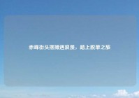 赤峰街头摆摊遇浪漫，踏上脱单之旅