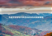 伤感文字短句干净,悲伤时该如何缓解情绪