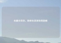 心跳分贝仪，聆听心灵深处的回响