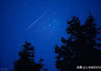 短句文案知乎伤感(顶级文案成熟短句干净)