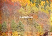 放学铃声的余震