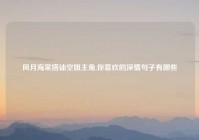 风月海棠搭讪空姐主角,你喜欢的深情句子有哪些