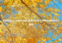 男朋友发别人的相片给我,男朋友发别人的帅照给我是什么意思