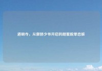 道明寺，从傲娇少爷开启的甜蜜脱单恋旅