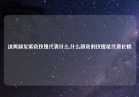 送男朋友紫色玫瑰代表什么,什么颜色的玫瑰花代表长情