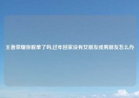 王者荣耀你脱单了吗,过年回家没有女朋友或男朋友怎么办