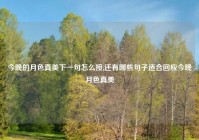 今晚的月色真美下一句怎么接,还有哪些句子适合回应今晚月色真美