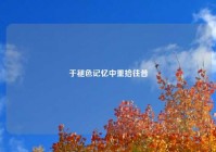 于褪色记忆中重拾往昔