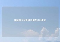 相亲聊天反馈用词,相亲认识男友
