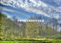 吊带与男友奏响的生活乐章