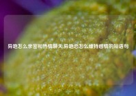 异地怎么亲密和热情聊天,异地恋怎么维持感情的短语句