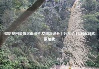 微信挽回爱情说说图片,女朋友说分手分享了手jc的说散就散给我