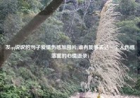 发qq说说的句子爱情伤感加图片(谁有能够表达一个人伤感落寞的心情语录)