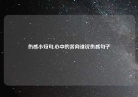伤感小短句,心中的苦向谁说伤感句子
