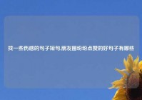 找一些伤感的句子短句,朋友圈纷纷点赞的好句子有哪些