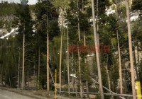 黄石吧百度贴吧怎么了？最近为啥这么热闹？