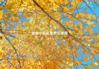 温馨小窝还是欢乐港湾