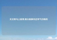 关注我马上脱单,刚分前俩月还死气白赖的
