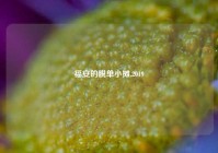 福安的脱单小摊,2019