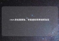 CSGO 改名现嚣张，尽显虚拟世界别样张狂