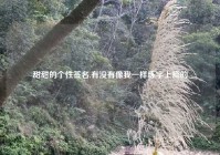 甜甜的个性签名,有没有像我一样练字上瘾的