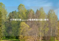 打开聊天键,opporeno9看视频是小窗口聊天