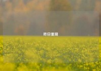 昨日重现
