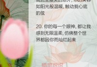 情感说说短语精选：感受心灵深处的温暖与共鸣