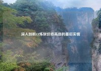 深入剖析CF炼狱价格高昂的幕后实情