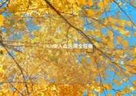 CSGO突入点运用全指南