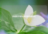 伤感段子短句,被控制伤感说说
