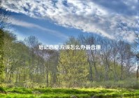 胎记恋爱,应该怎么办最合理