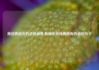 挽回男朋友的话语幽默,有哪些很经典很有内涵的句子