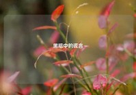 黑暗中的谎言
