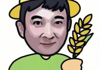 土味情话文案(高手的土味情话)