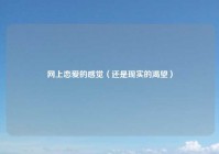 网上恋爱的感觉（还是现实的渴望）