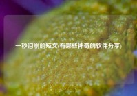 一秒泪崩的短文(有哪些神奇的软件分享)
