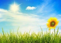 情商高的一句话签名(存在着哪些不为人知的秘密)