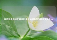 抖音爱情伤感文案短句,男生的哪些行为让你觉得很low