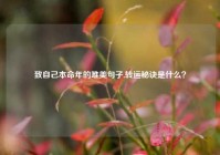 致自己本命年的唯美句子,转运秘诀是什么？