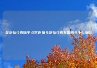 就微信语音聊天没声音,但是微信语音有声音是什么原因