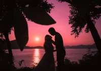 爱情经典句子(看淡一切不谈感情的经典句子)