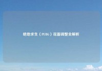 绝地求生（PUBG）花面调整全解析