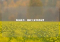 临海礼物，邂逅专属浪漫深情