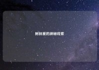 树林里的神秘线索