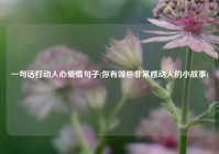 一句话打动人心爱情句子(你有哪些非常感动人的小故事)